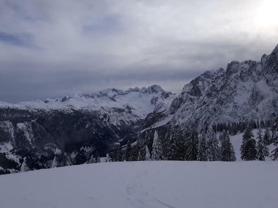 Dachstein View Ski Apartment 고사우 외부 사진