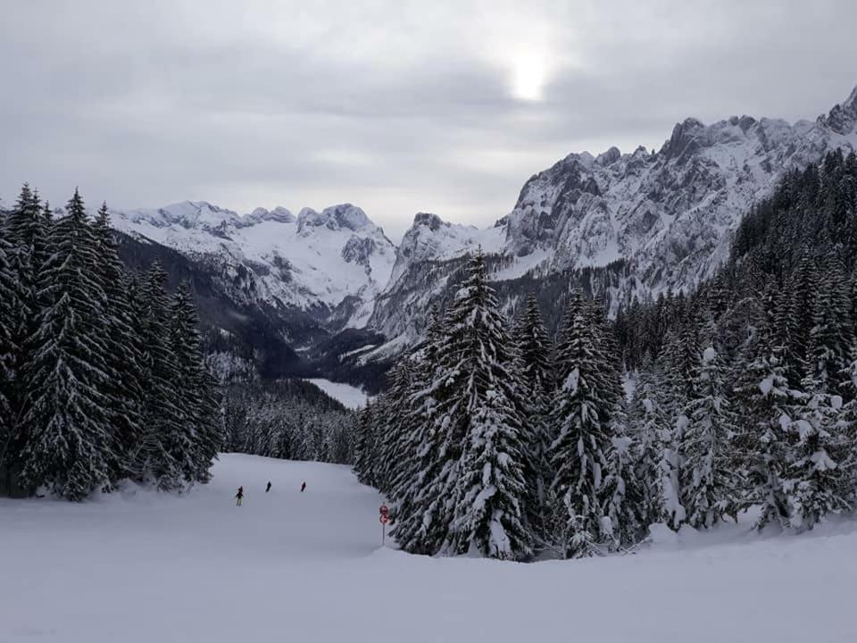 Dachstein View Ski Apartment 고사우 외부 사진