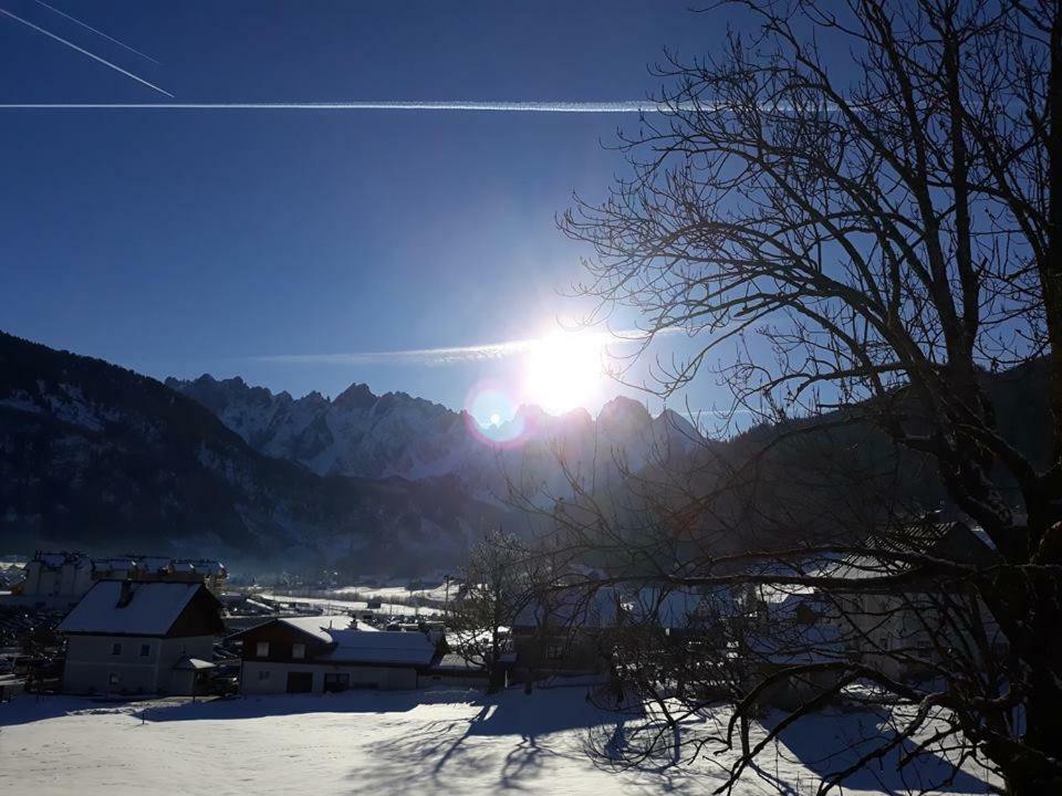 Dachstein View Ski Apartment 고사우 외부 사진